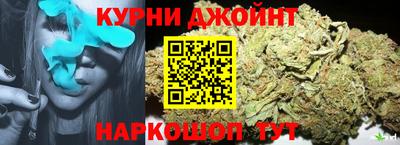 гидра Брянск