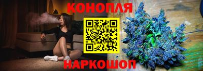 гидра Брянск