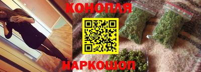 гидра Брянск