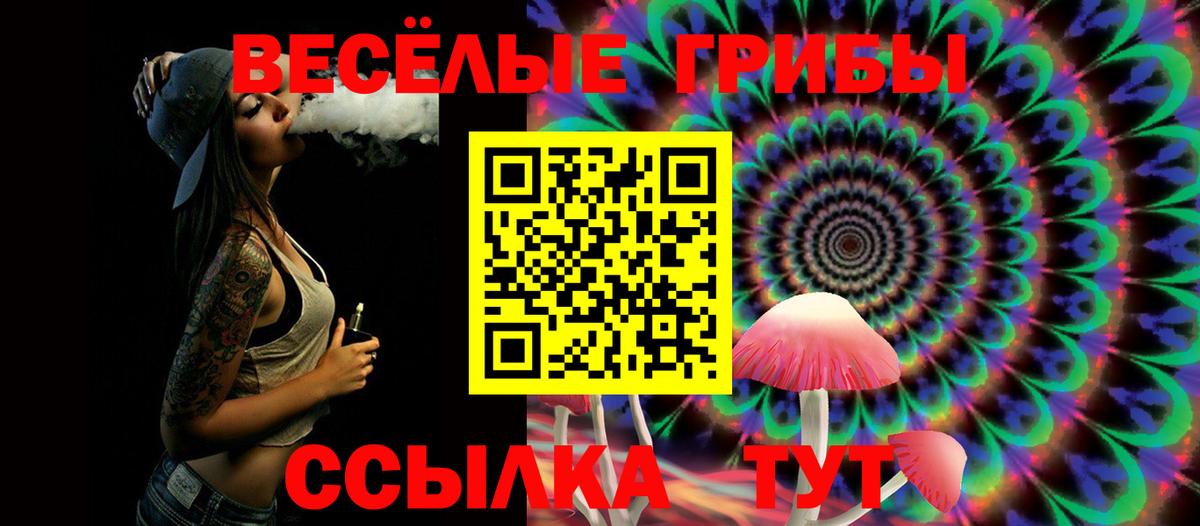 Псилоцибиновые грибы прущие грибы  что такое   Моздок  Вход с VPN 
