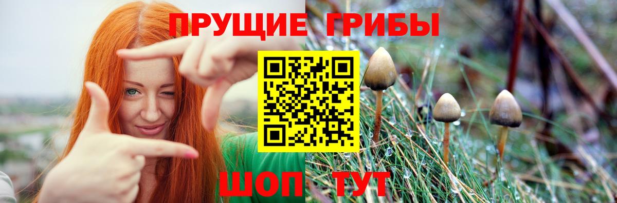 Галлюциногенные грибы прущие грибы Моздок