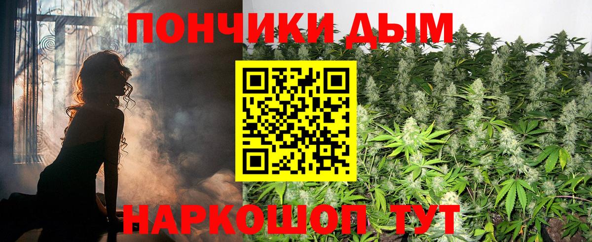 Шишки марихуана семена Моздок